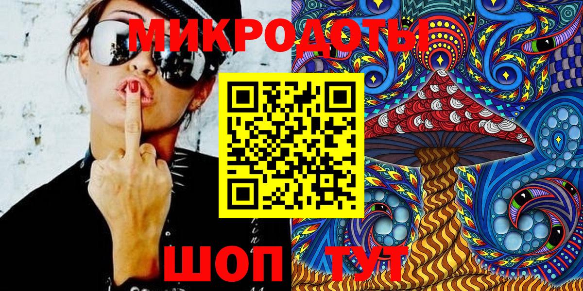 Псилоцибиновые грибы Psilocybine cubensis Советская Гавань
