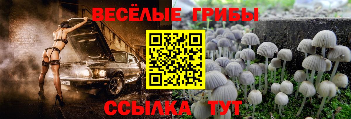 Советская Гавань  Псилоцибиновые грибы Psilocybine cubensis  Вход с VPN 